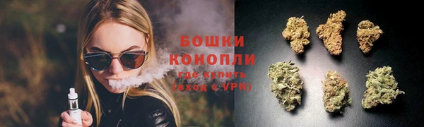 ГАЛЛЮЦИНОГЕННЫЕ ГРИБЫ Заволжск