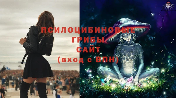 ГАЛЛЮЦИНОГЕННЫЕ ГРИБЫ Заволжск