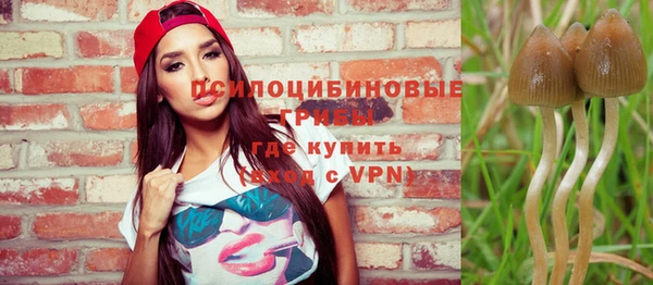 ГАЛЛЮЦИНОГЕННЫЕ ГРИБЫ Заволжск