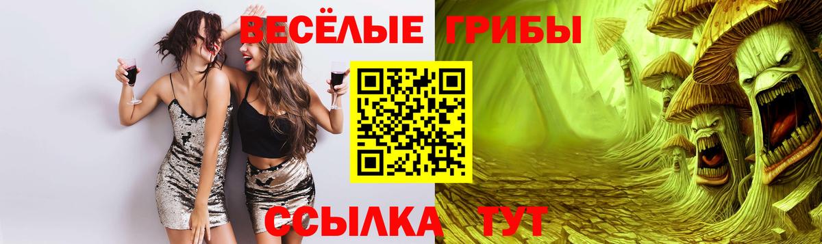 Соль-Илецк  Псилоцибиновые грибы Psilocybe  Вход с VPN 